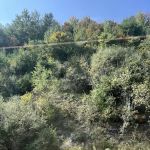 Route 81 RV Park