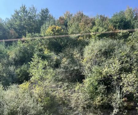 Route 81 RV Park