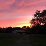 Country Oaks RV Park