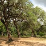 D and L's RV Park