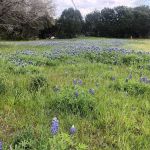 Hill Country Lakes RV Campground