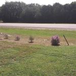 Pace Bend RV Park