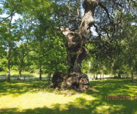 York Creek RV Park