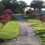LifeSpace RV Park