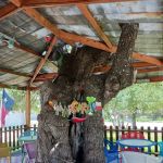 Windmills Lakebum RV Park