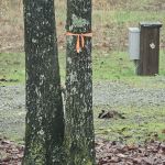 Redbud RV Park
