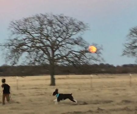 Flying Cow Ranch