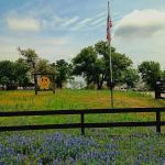 Wood Forest RV Park