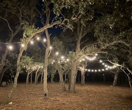 Stardust Airstream & RV Resort