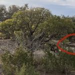 Pedernales RV Park