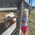 Toucan RV Park
