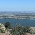 Shady Oaks RV Park