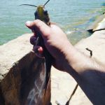 Abilene Lakeview Rv Park