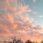 Whispering Oaks Mhc