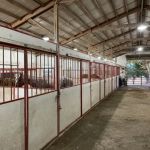 Gaither Horse Motel