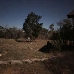 CEDAR BLISS RV Park