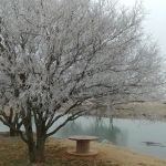 Bridger Creek