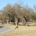 Huling RV Park