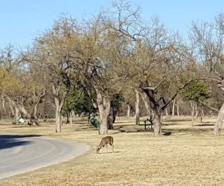 Huling RV Park
