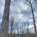 Hideaway RV Park