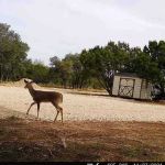 Cedar Creek RV Park