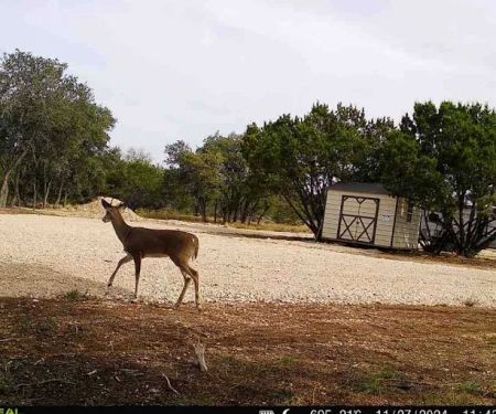 Cedar Creek RV Park