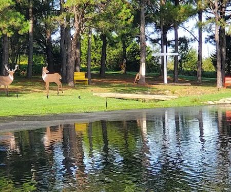 PINE Tree RV PARK