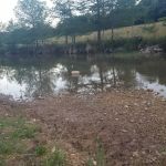 Hill Country Rentals