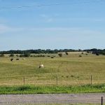 Yearling RV Park