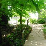 Green Tree RV Park