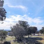Farm Country Club