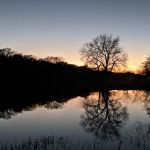 Riverside RV Park