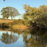 Golden Pond RV Park
