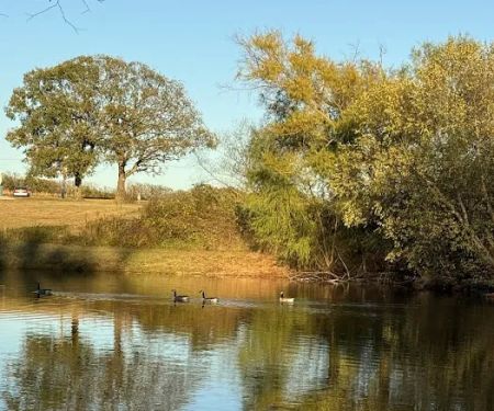 Golden Pond RV Park