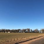 Oak Leaf RV Park