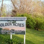 Golden Valley
