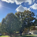 Oakridge Mobile Home Park