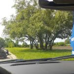 Green Acres Park
