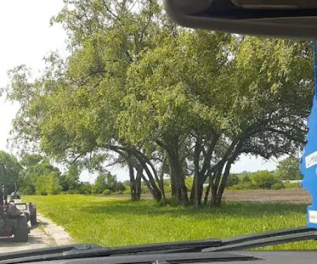 Green Acres Park