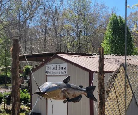 Hawks RV Park