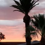Oasis Park Co