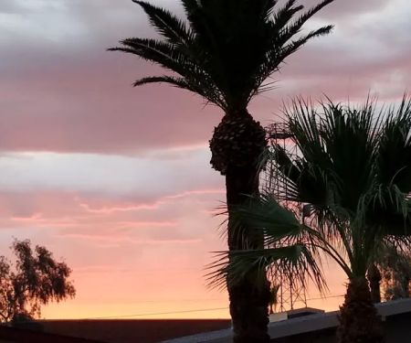 Oasis Park Co