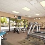 Contempo Tempe