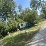 Maple Court