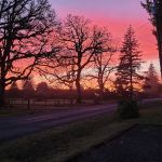 Oak Meadows