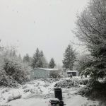 Ark RV Park