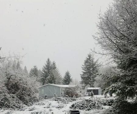 Ark RV Park