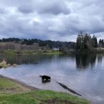 Oaks Mobile & RV Park