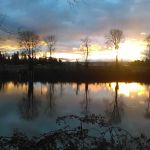 Woodland MHC, LLC