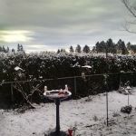 Maple Lane Estates